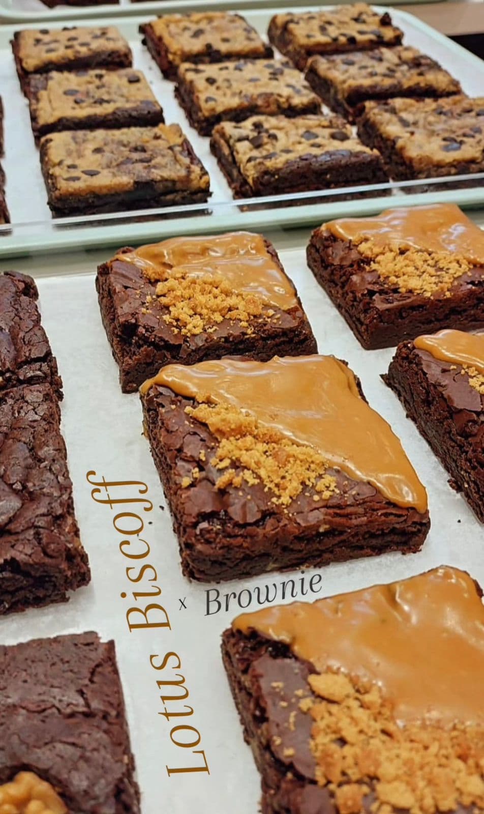 Biscoff Brownie Slab