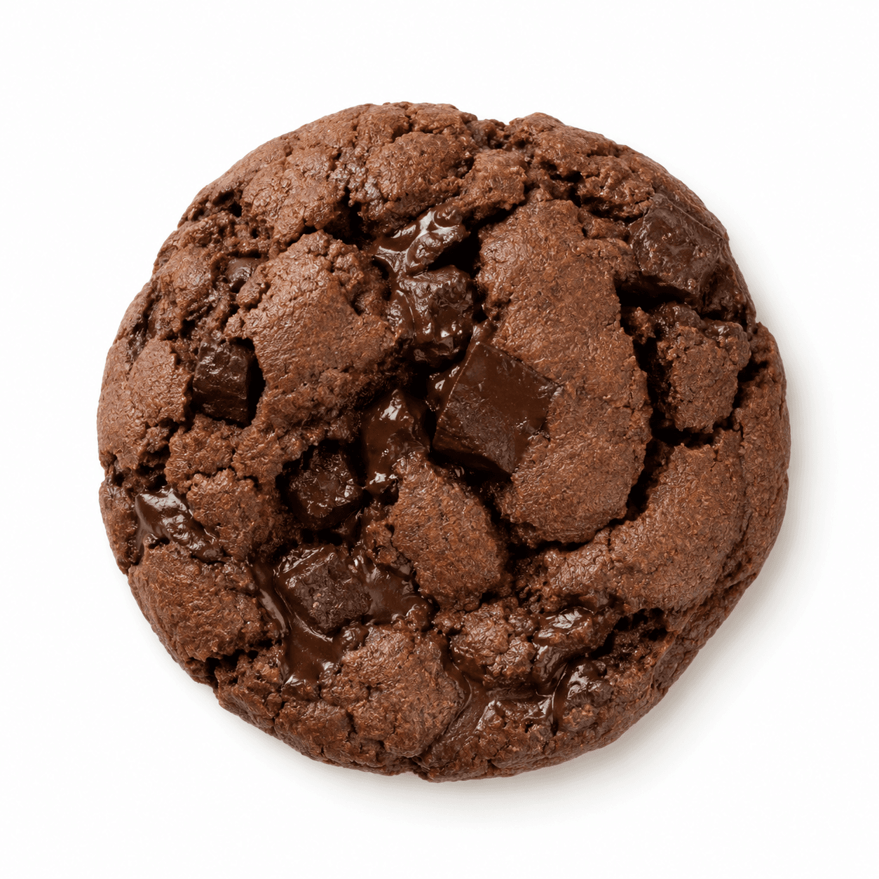 Double Chocolate Cookie